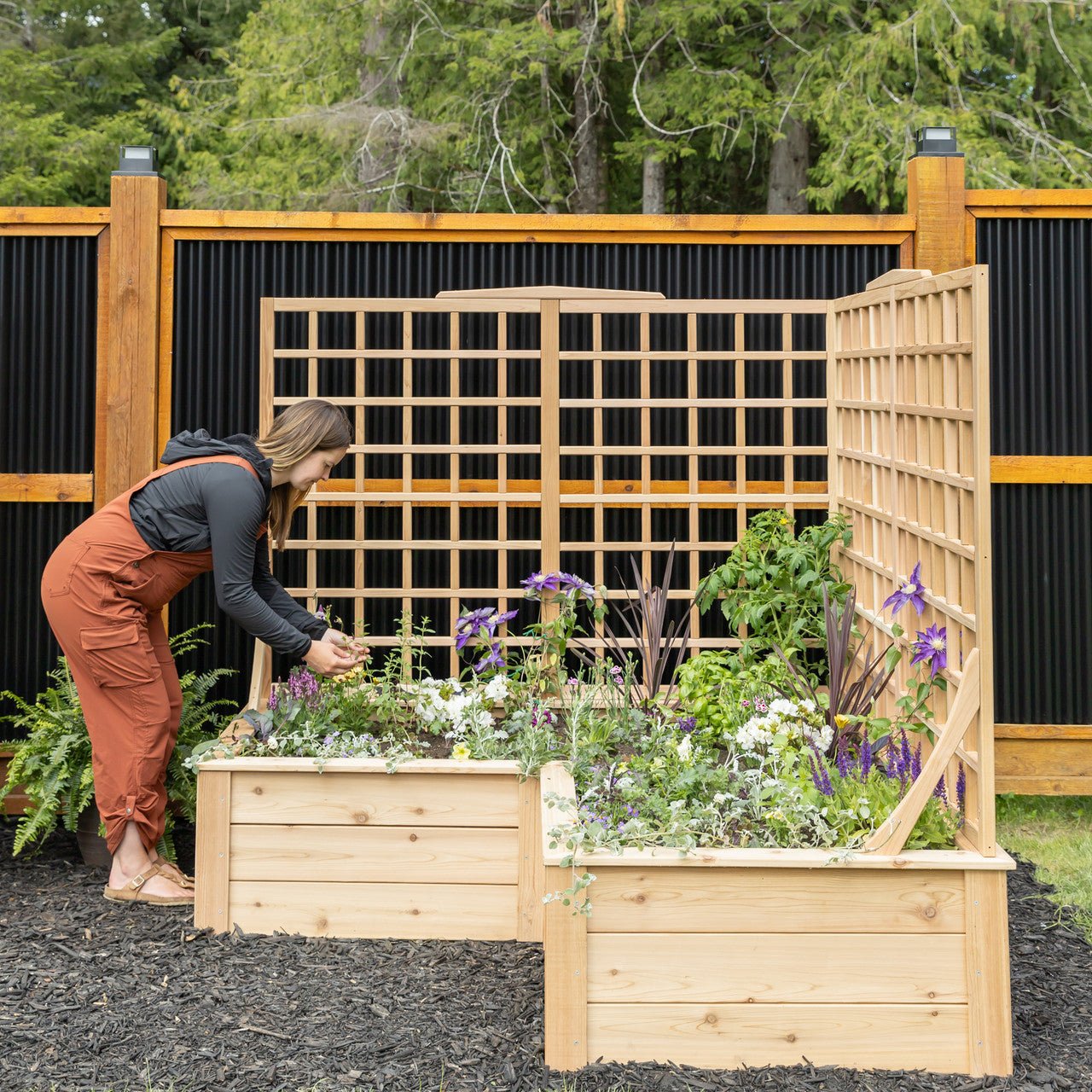 Natural Cedar L-Shaped Raised Beds with Trellis 2' 4' option3
