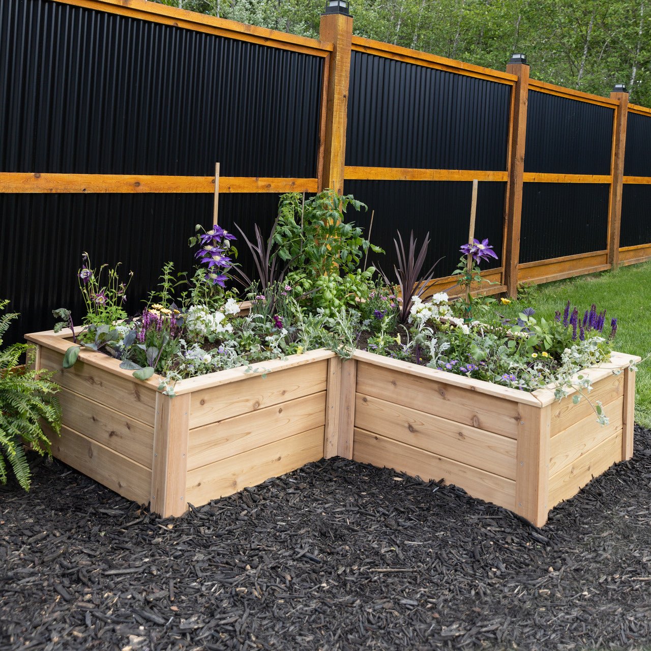 Natural Cedar L-Shaped Raised Garden Beds 2' 4' option3