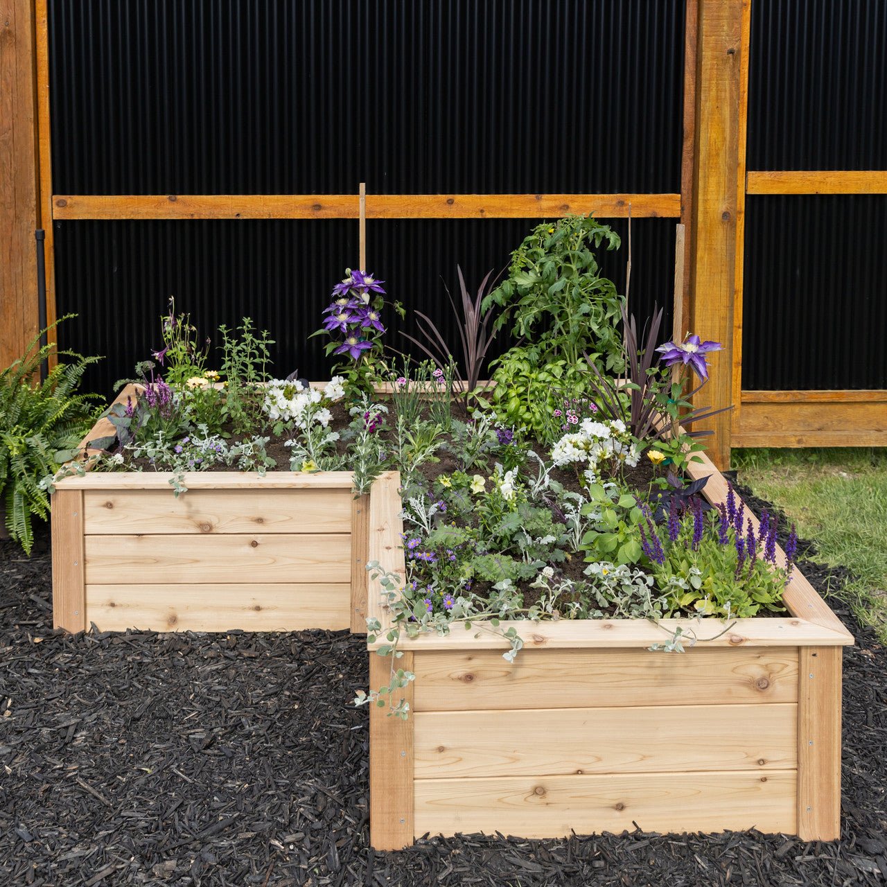 Natural Cedar L-Shaped Raised Garden Beds 2' 4' option3
