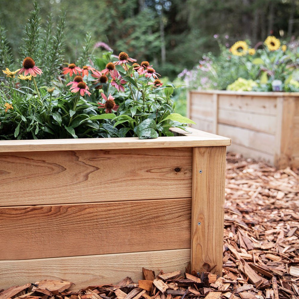 Natural Cedar L-Shaped Raised Garden Beds 2' 4' option3