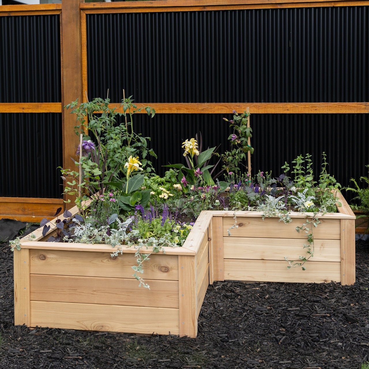 Natural Cedar L-Shaped Raised Garden Beds 2' 4' option3