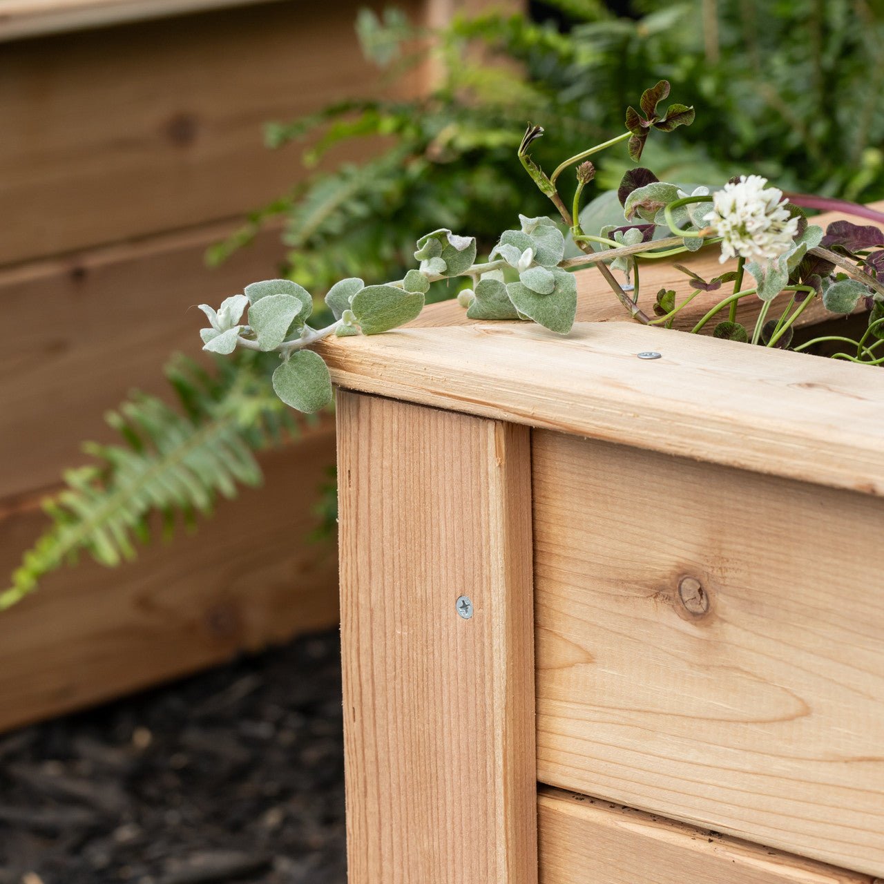 Natural Cedar L-Shaped Raised Garden Beds 2' 4' option3
