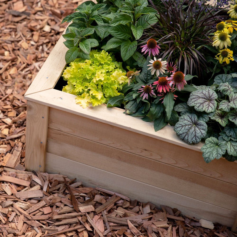 Natural Cedar L-Shaped Raised Garden Beds 2' 4' option3