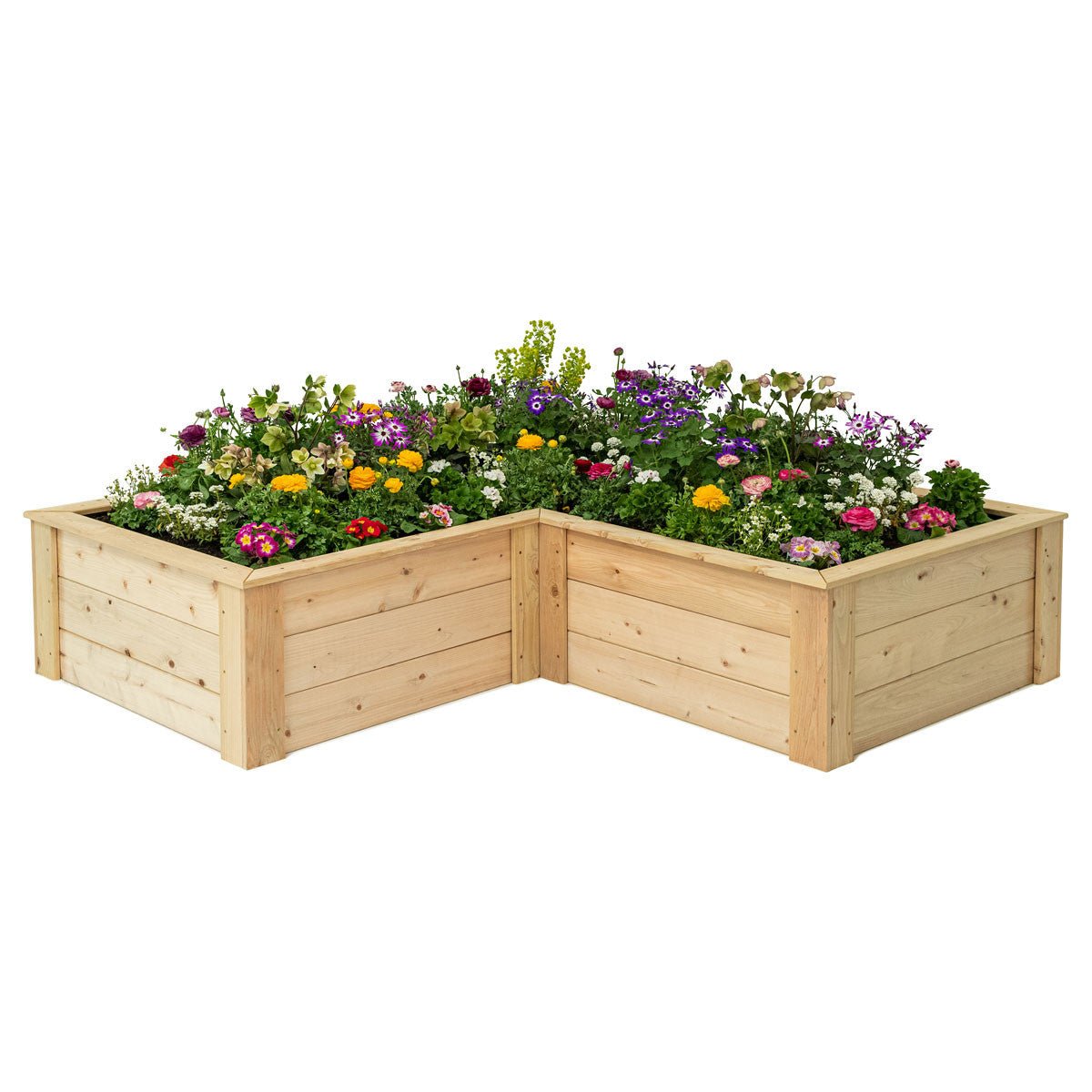 Natural Cedar L-Shaped Raised Garden Beds 2' 4' option3