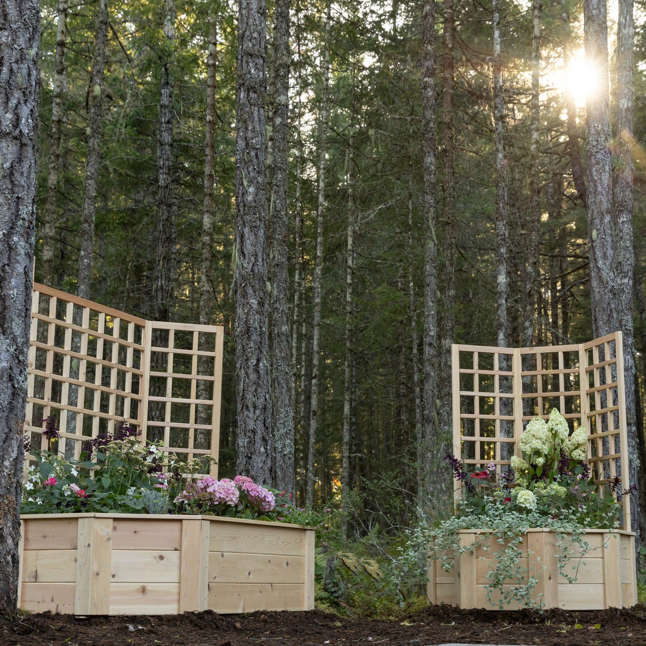 Natural Cedar Octagon Raised Beds with Trellis 4' 4' 11"