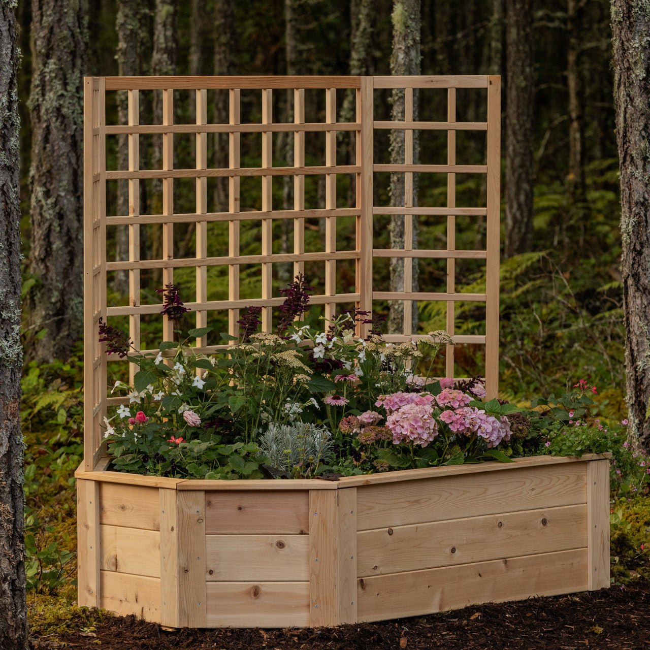 Natural Cedar Octagon Raised Beds with Trellis 4' 4' 11"