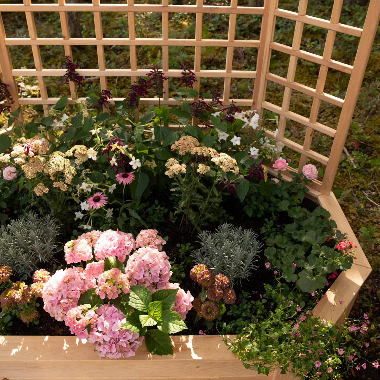 Natural Cedar Octagon Raised Beds with Trellis 4' 4' 11"