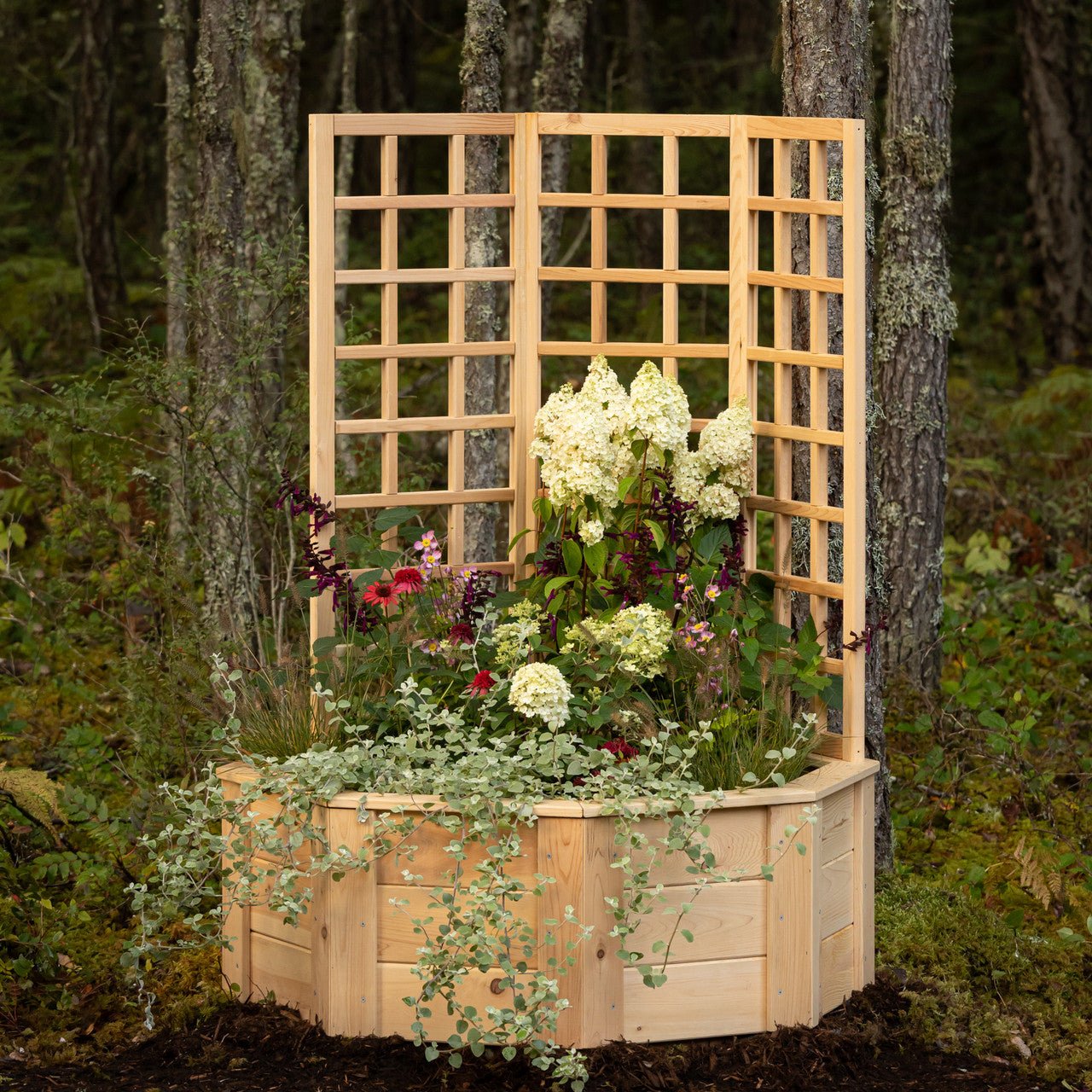 Natural Cedar Octagon Raised Beds with Trellis 4' 4' 11"