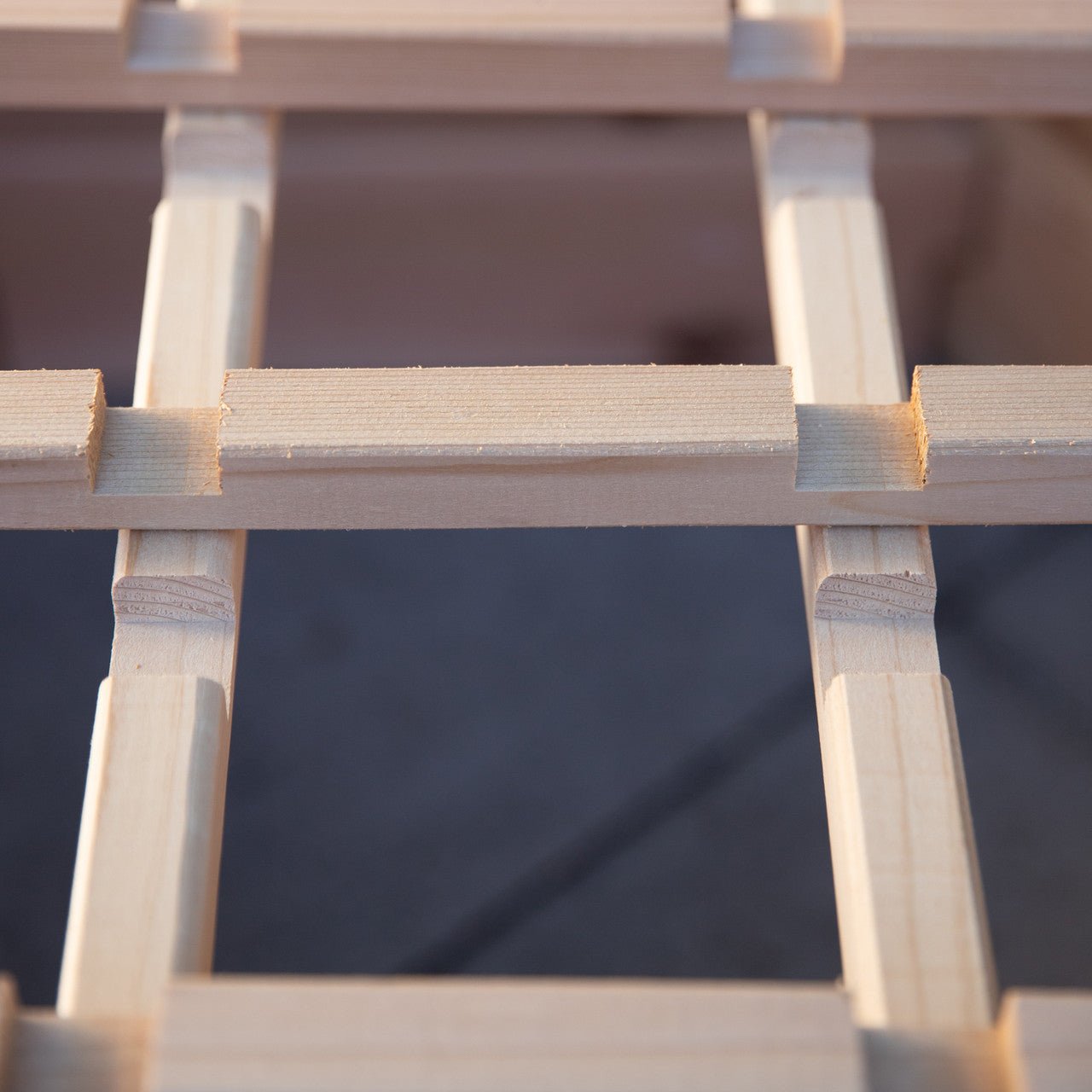 Natural Cedar Octagon Raised Beds with Trellis 4' 4' 11"