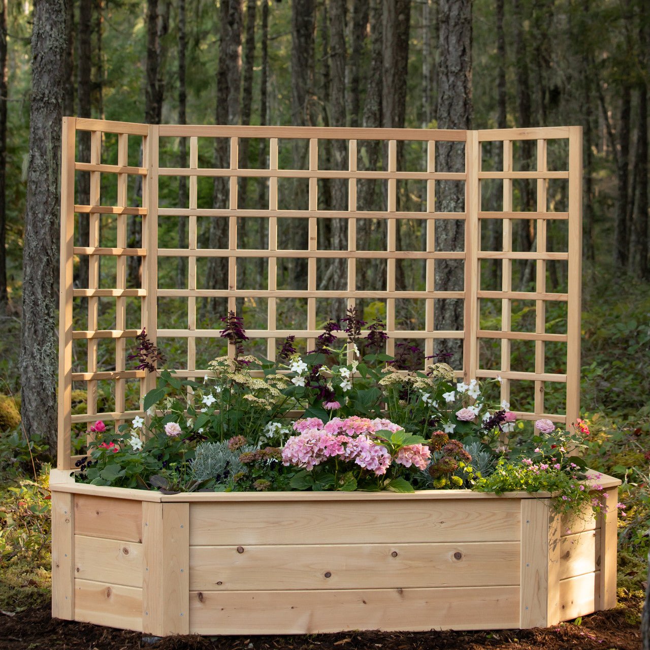 Natural Cedar Octagon Raised Beds with Trellis 4' 4' 11"