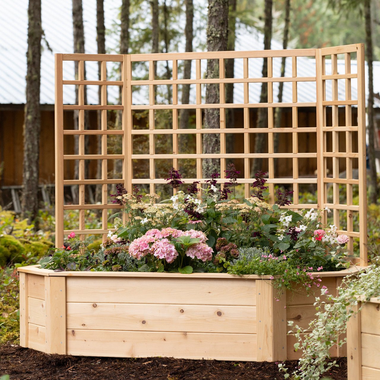 Natural Cedar Octagon Raised Beds with Trellis 4' 4' 11"