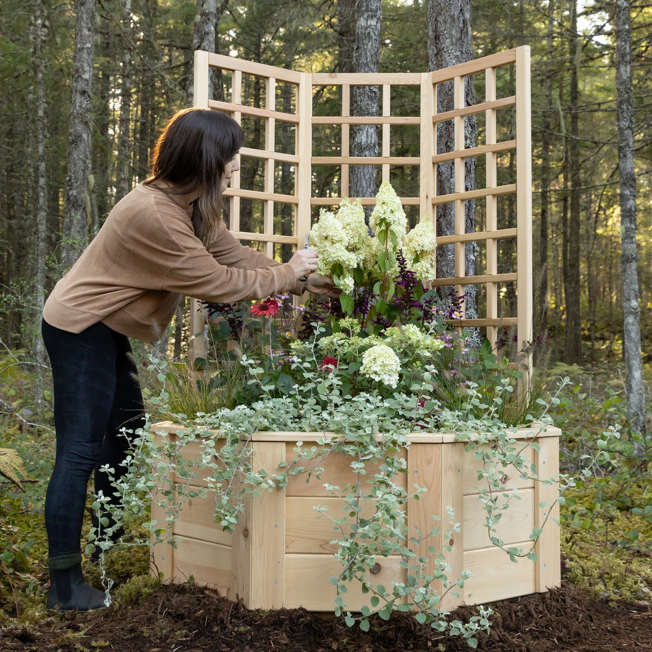 Natural Cedar Octagon Raised Beds with Trellis 4' 4' option3