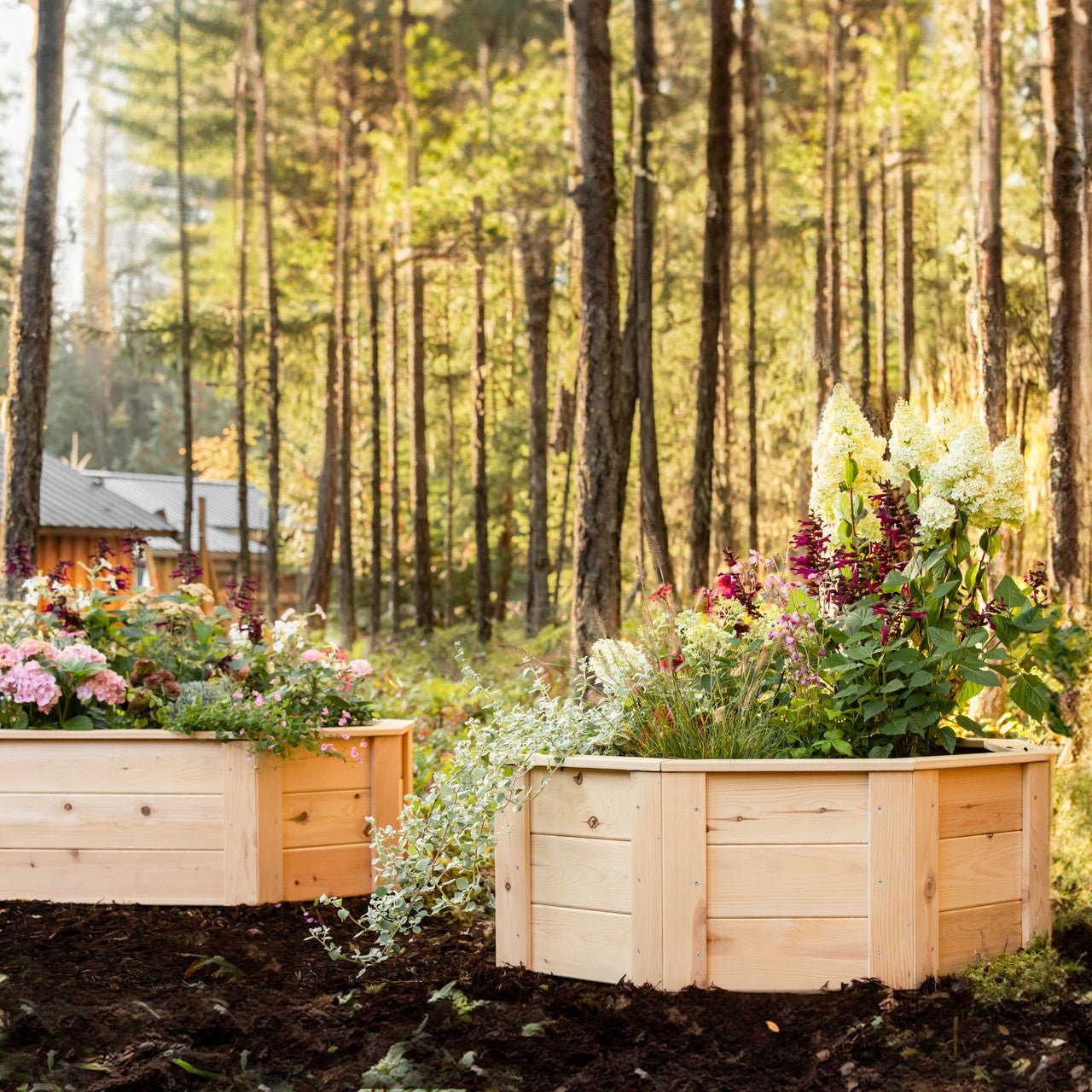 Natural Cedar Octagon Raised Beds 2.5' 2.5' 5.5"