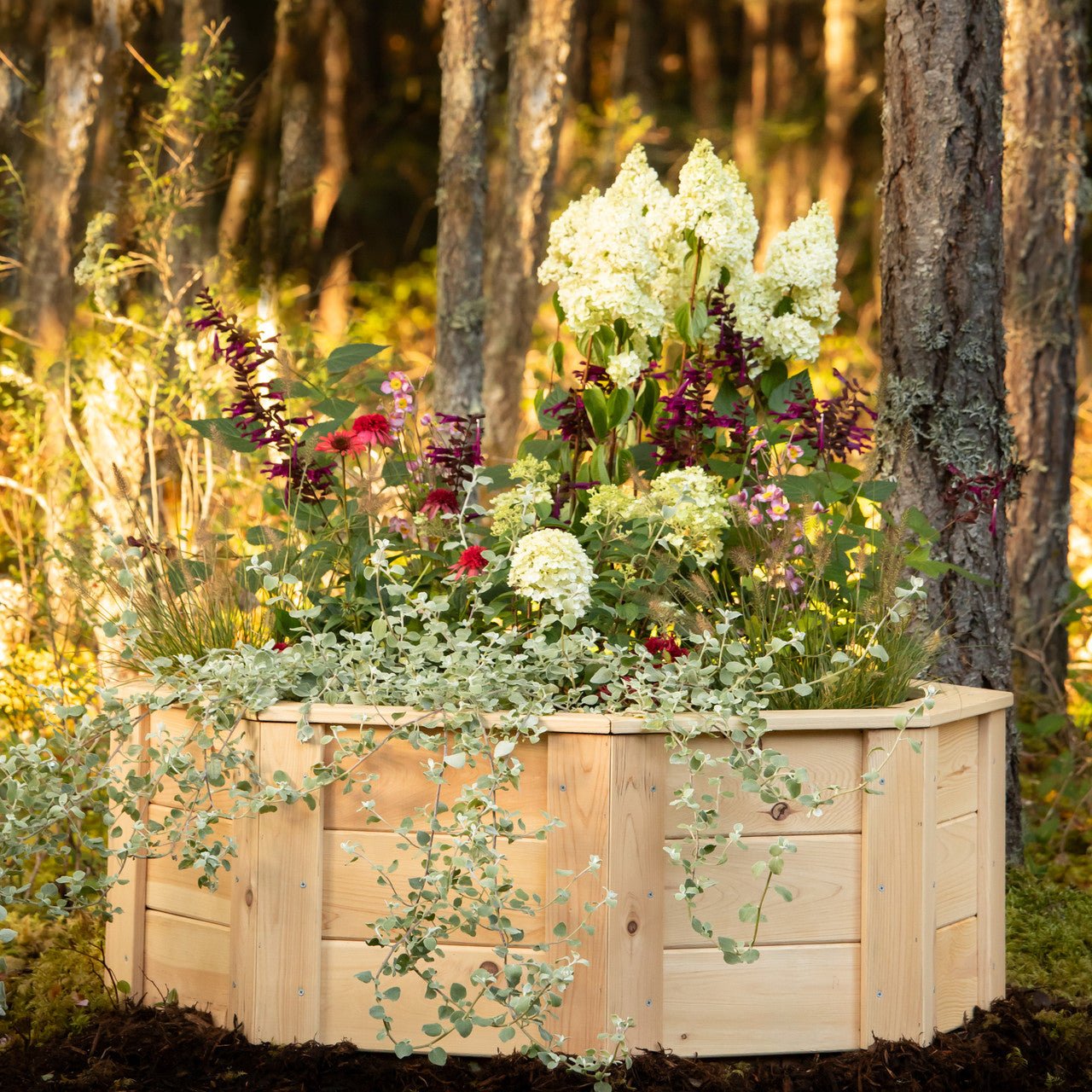 Natural Cedar Octagon Raised Beds 2.5' 2.5' 5.5"