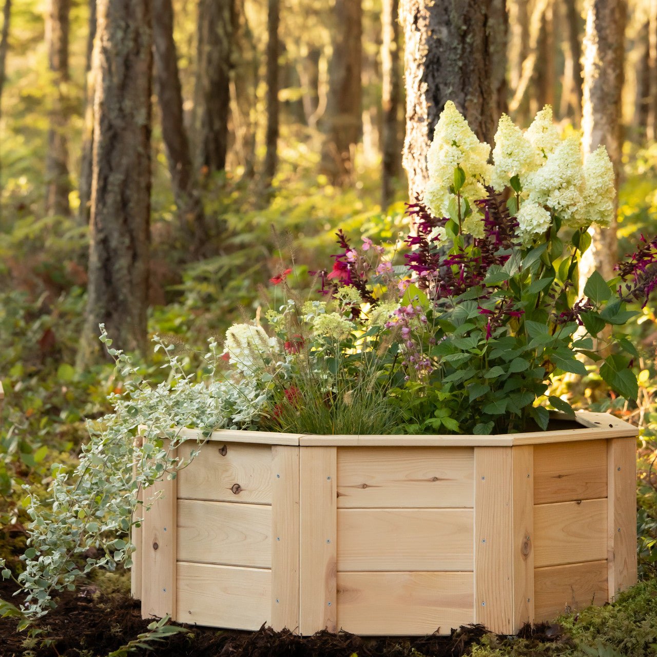 Natural Cedar Octagon Raised Beds 2.5' 2.5' 5.5"