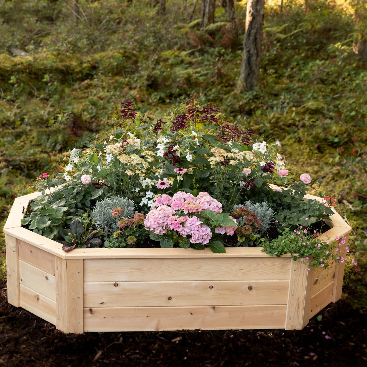 Natural Cedar Octagon Raised Beds 2.5' 2.5' 5.5"
