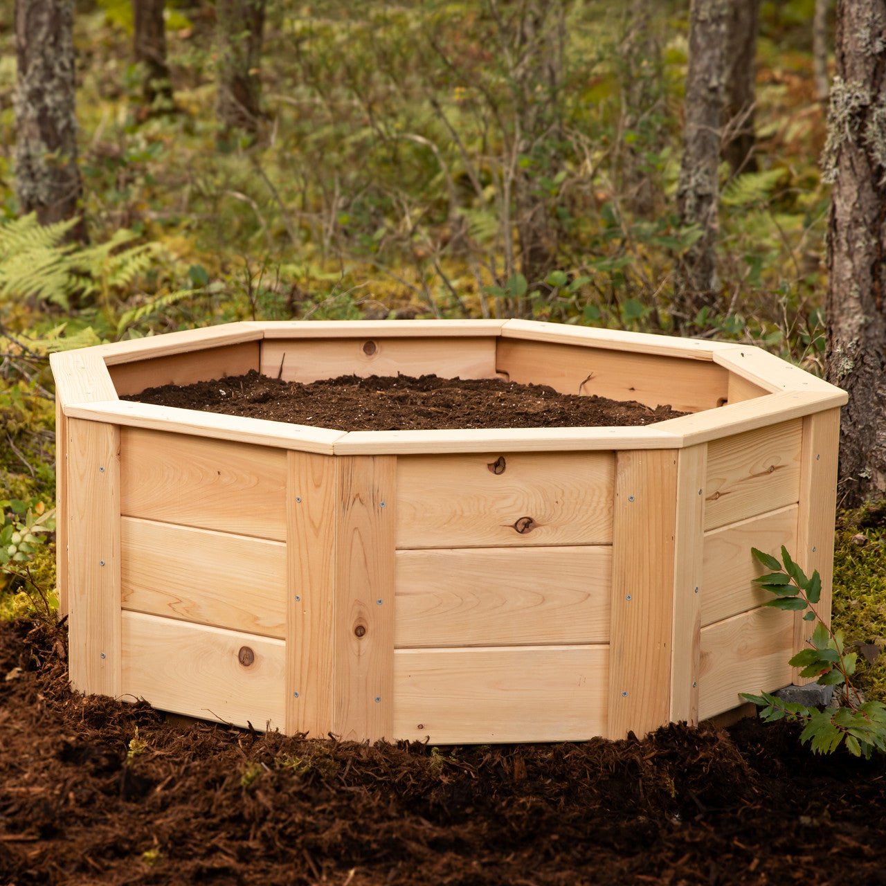 Natural Cedar Octagon Raised Beds 2.5' 2.5' 5.5"