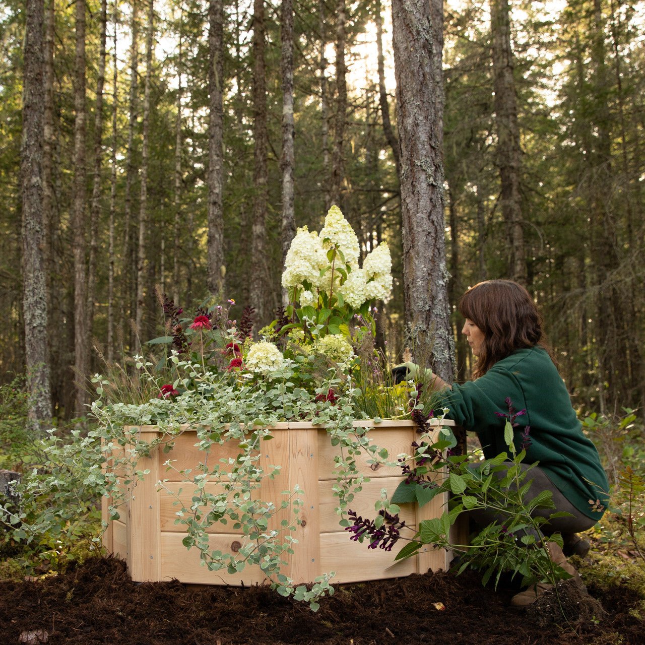 Natural Cedar Octagon Raised Beds 2.5' 2.5' 5.5"