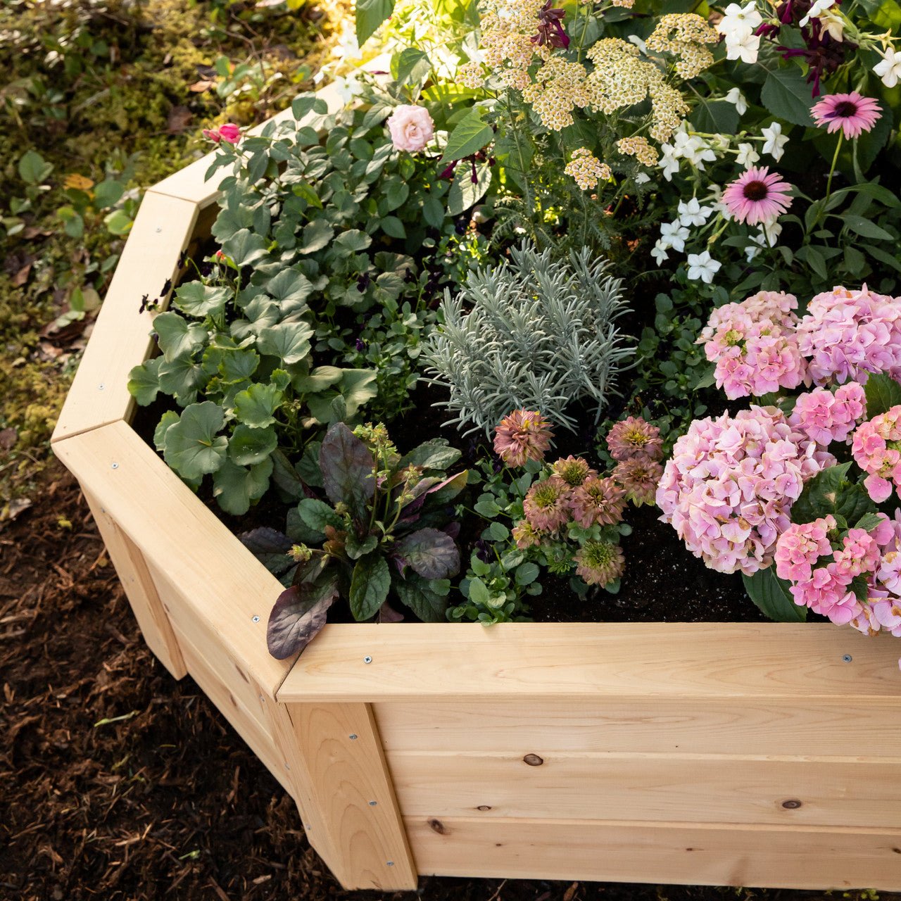 Natural Cedar Octagon Raised Beds 2.5' 2.5' 5.5"