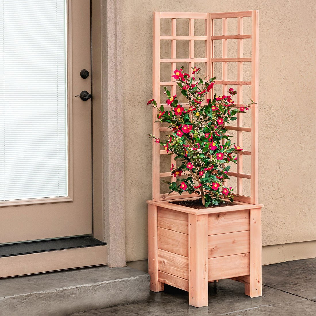 Natural Cedar Planter Box with L-Trellis 20" x 20" 22" 42"