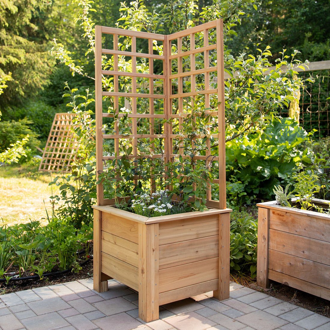 Natural Cedar Planter Box with L-Trellis 20" x 20" 22" option3