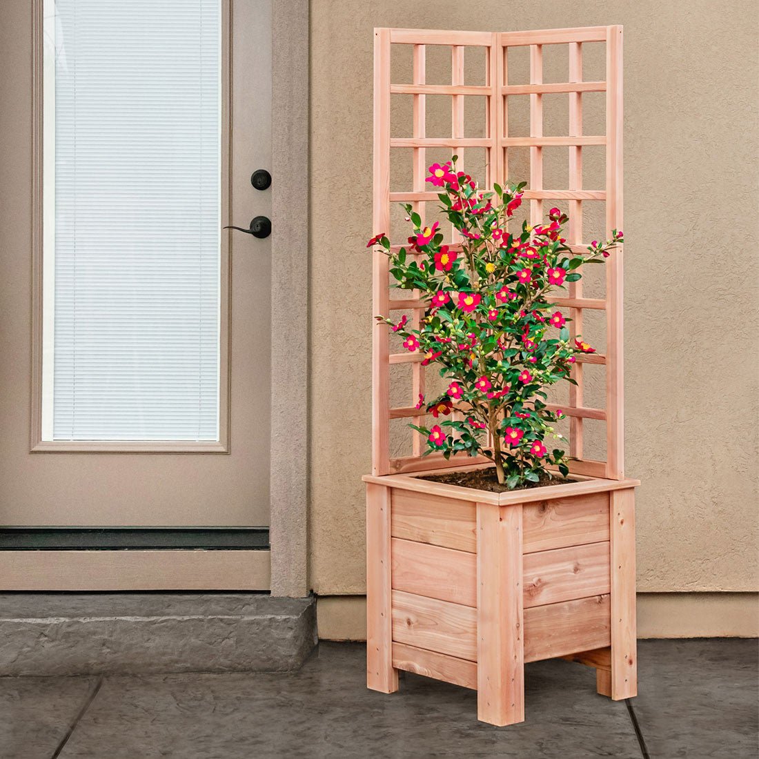 Natural Cedar Planter Box with L-Trellis 20" x 20" 22" 42"