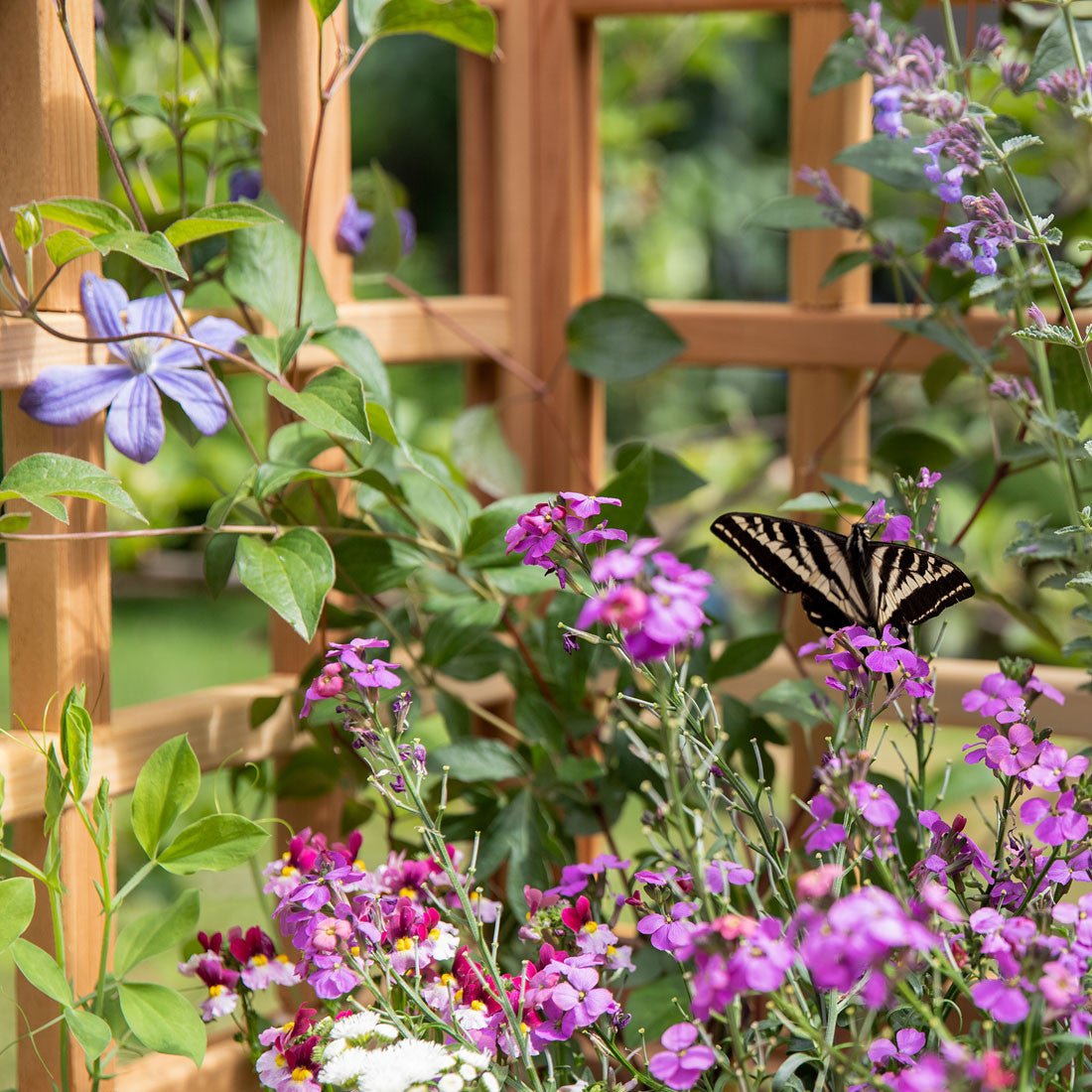 Natural Cedar Planter Box with L-Trellis 20" x 20" 22" 42"