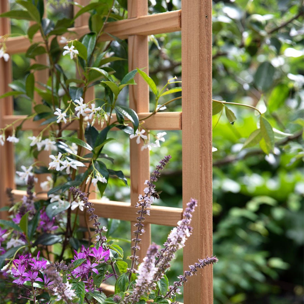 Natural Cedar Planter Box with Trellis 20" 20" 22"