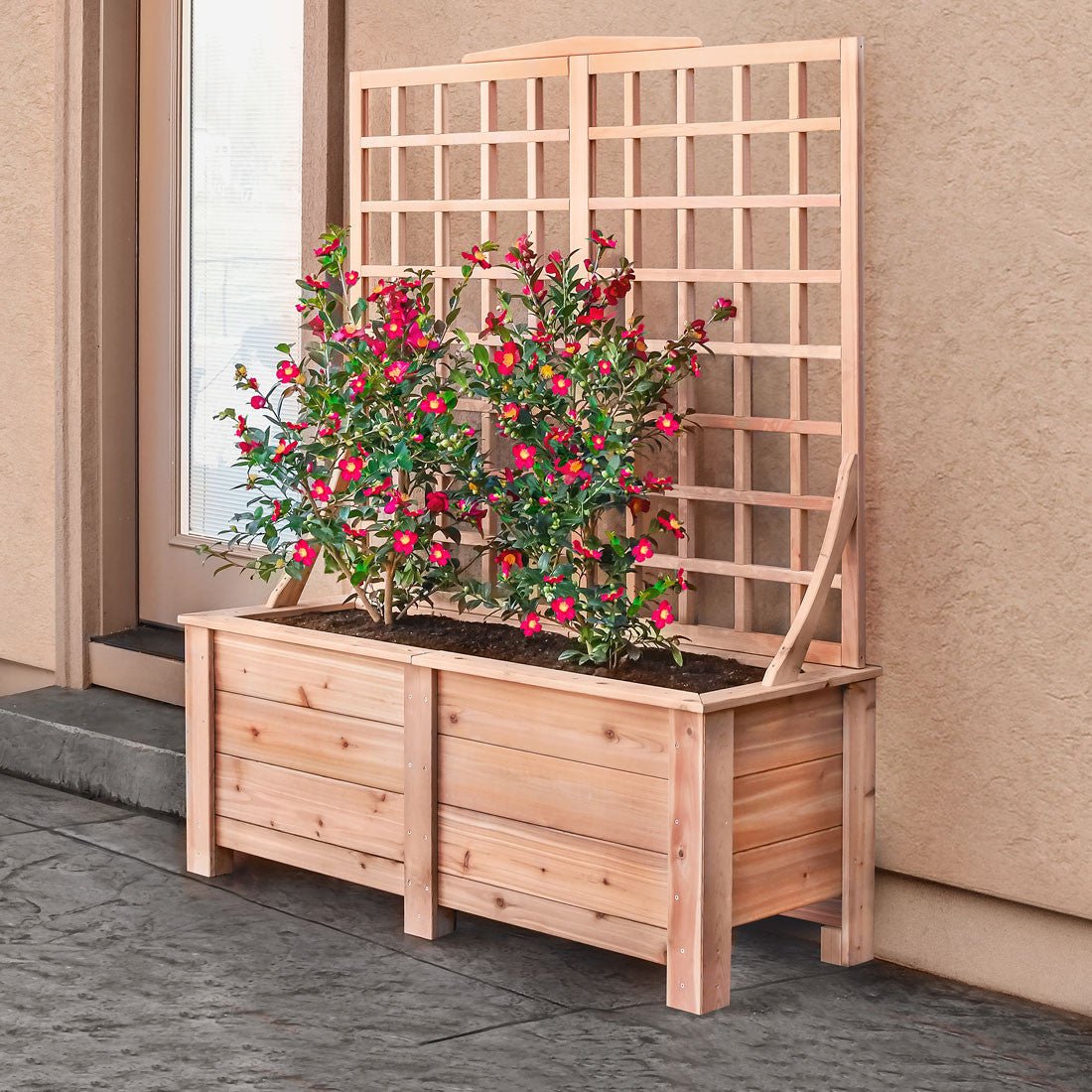 Natural Cedar Planter Box with Trellis 20" 20" 22"