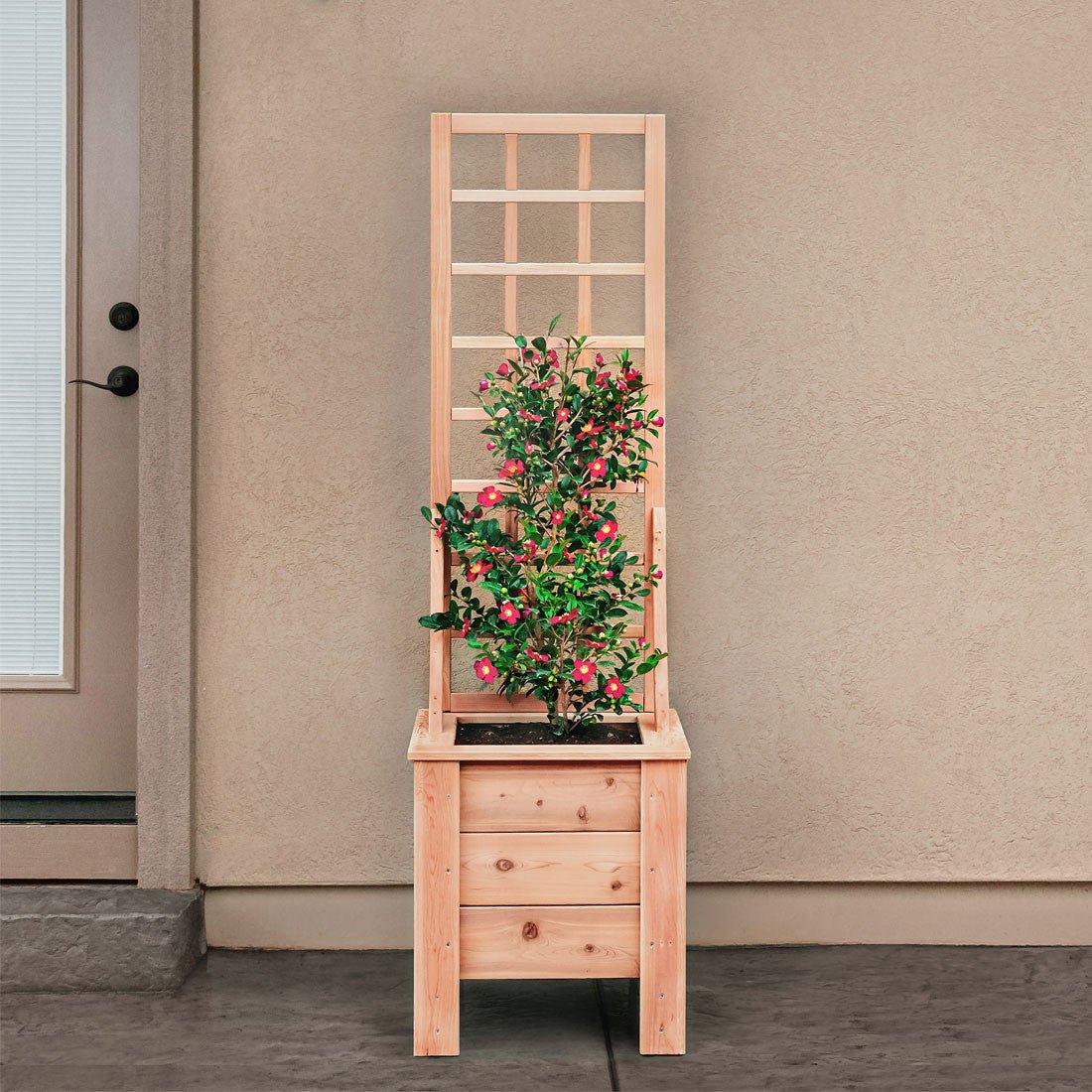 Natural Cedar Planter Box with Trellis 20" 20" 22"