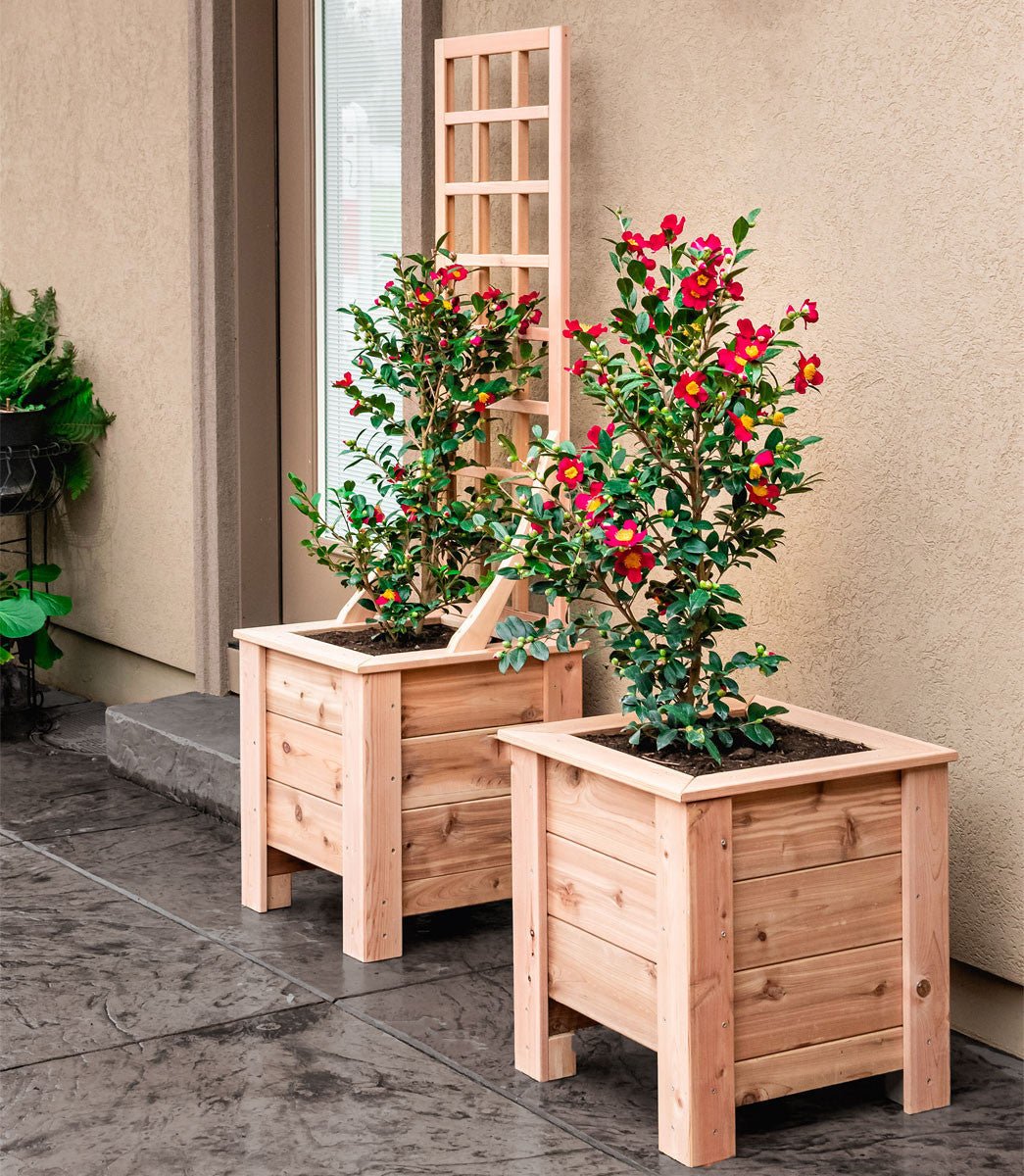 Natural Cedar Planter Box with Trellis 20" 20" 22"