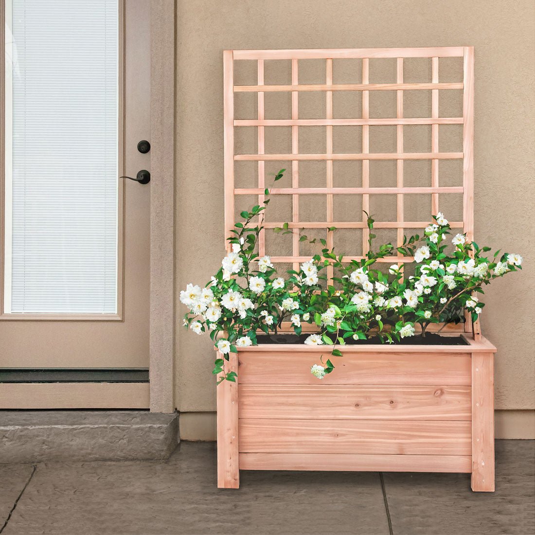 Natural Cedar Planter Box with Trellis 20" 20" 22"