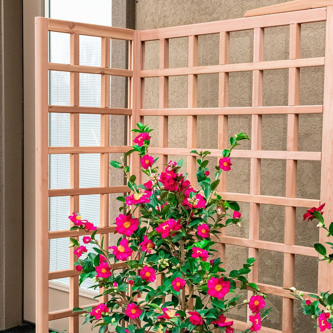 Natural Cedar Planter Box with U-Trellis 20" 44" 22"