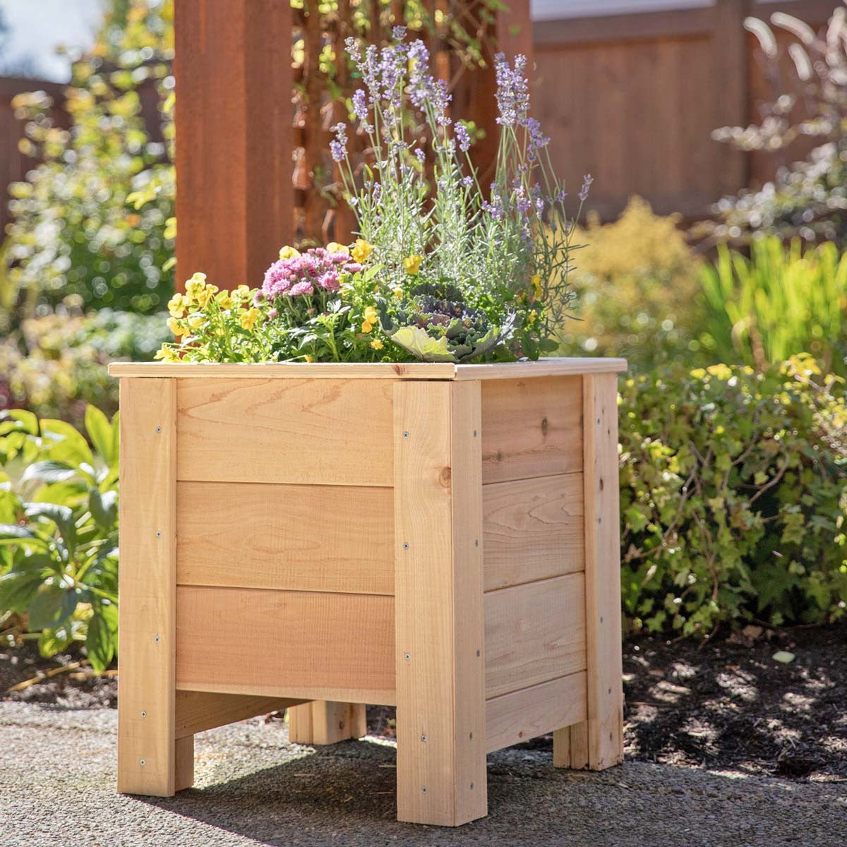 Natural Cedar Planter Boxes 14" 14" option3