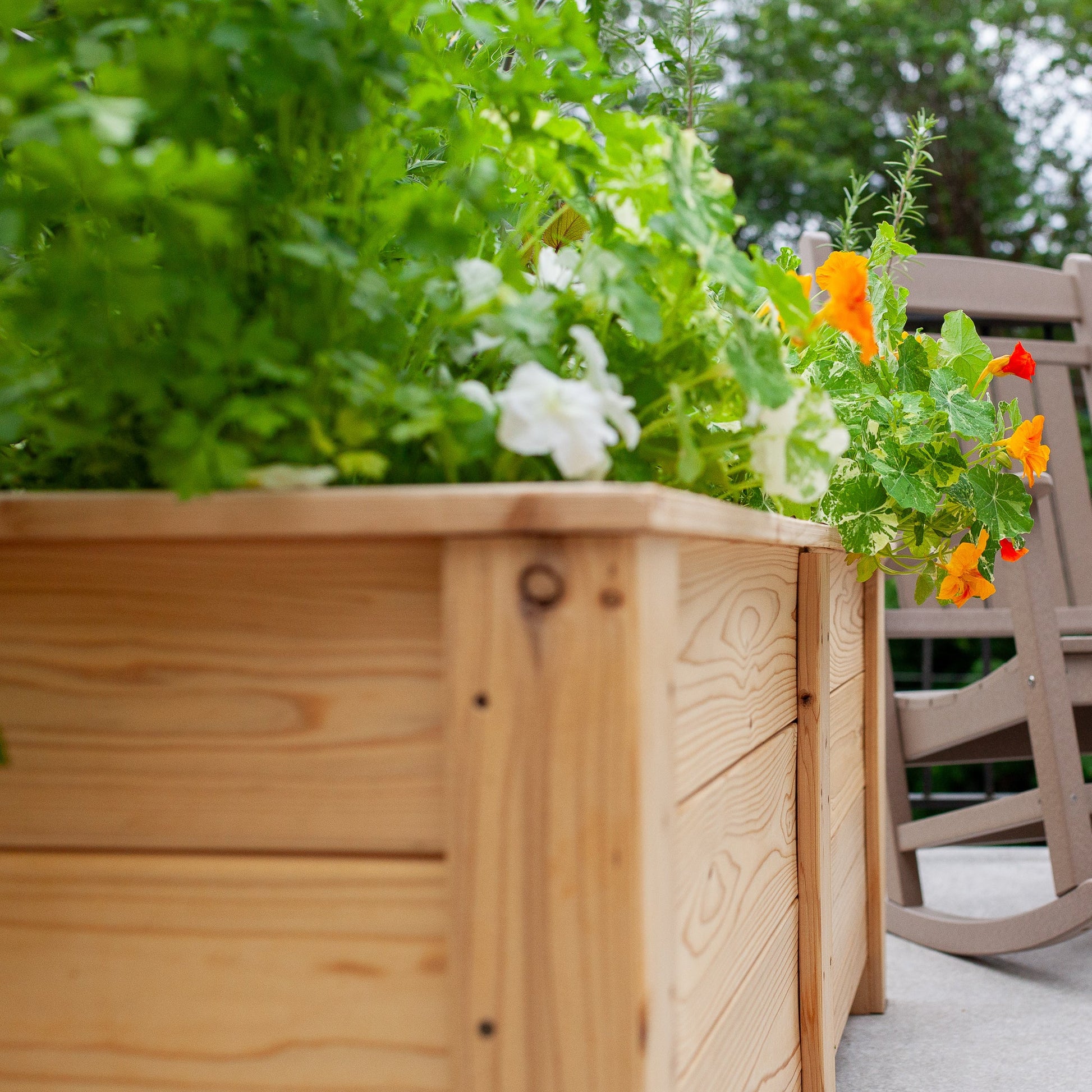 Natural Cedar Planter Boxes 14" 14" option3