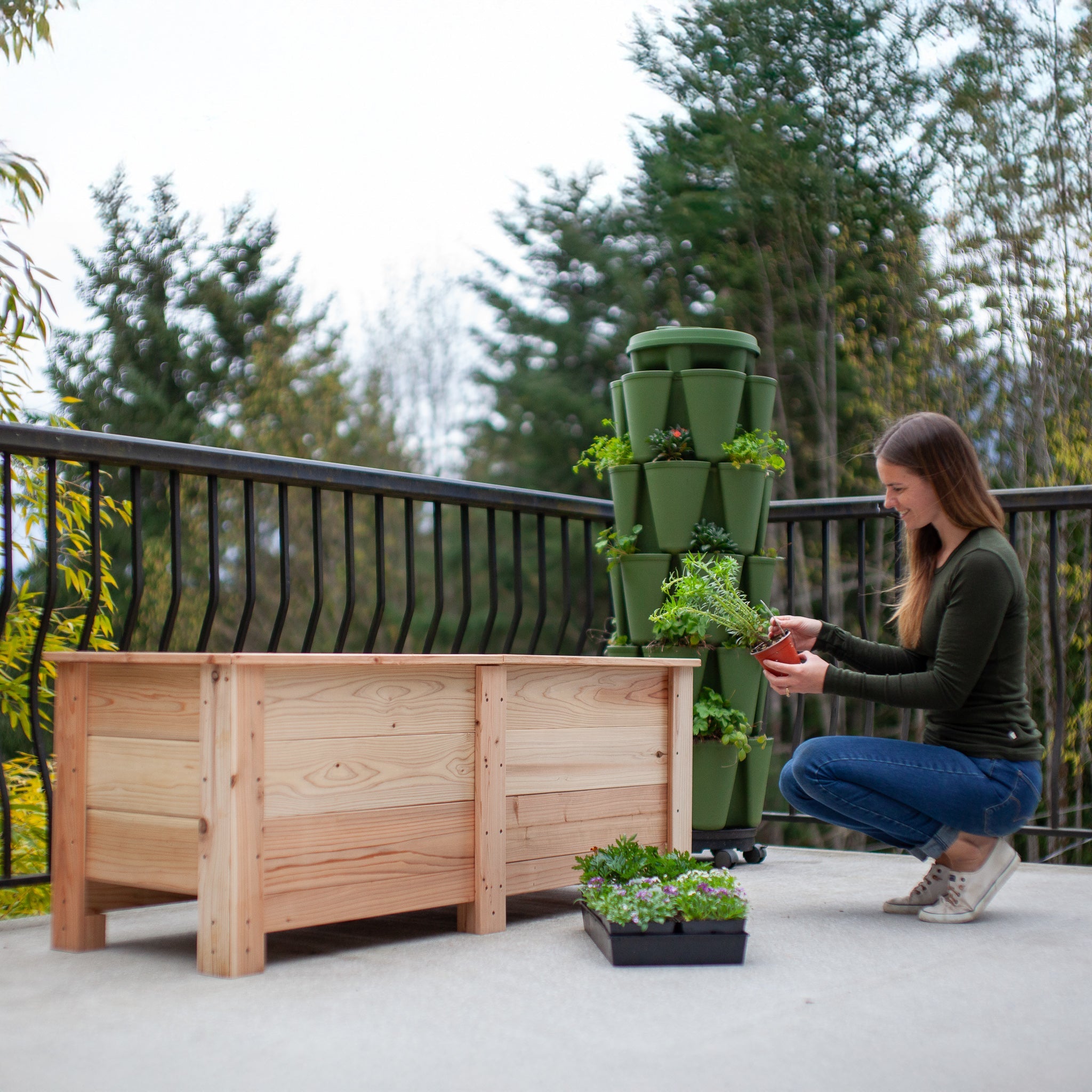 Natural Cedar Planter Boxes 14" 14" option3