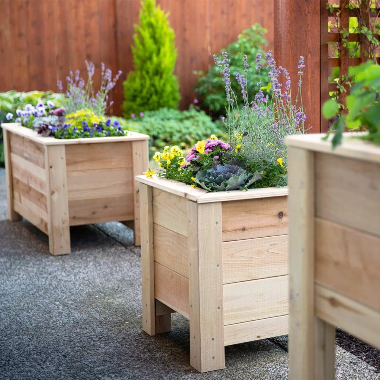 Natural Cedar Planter Boxes 14" 14" option3