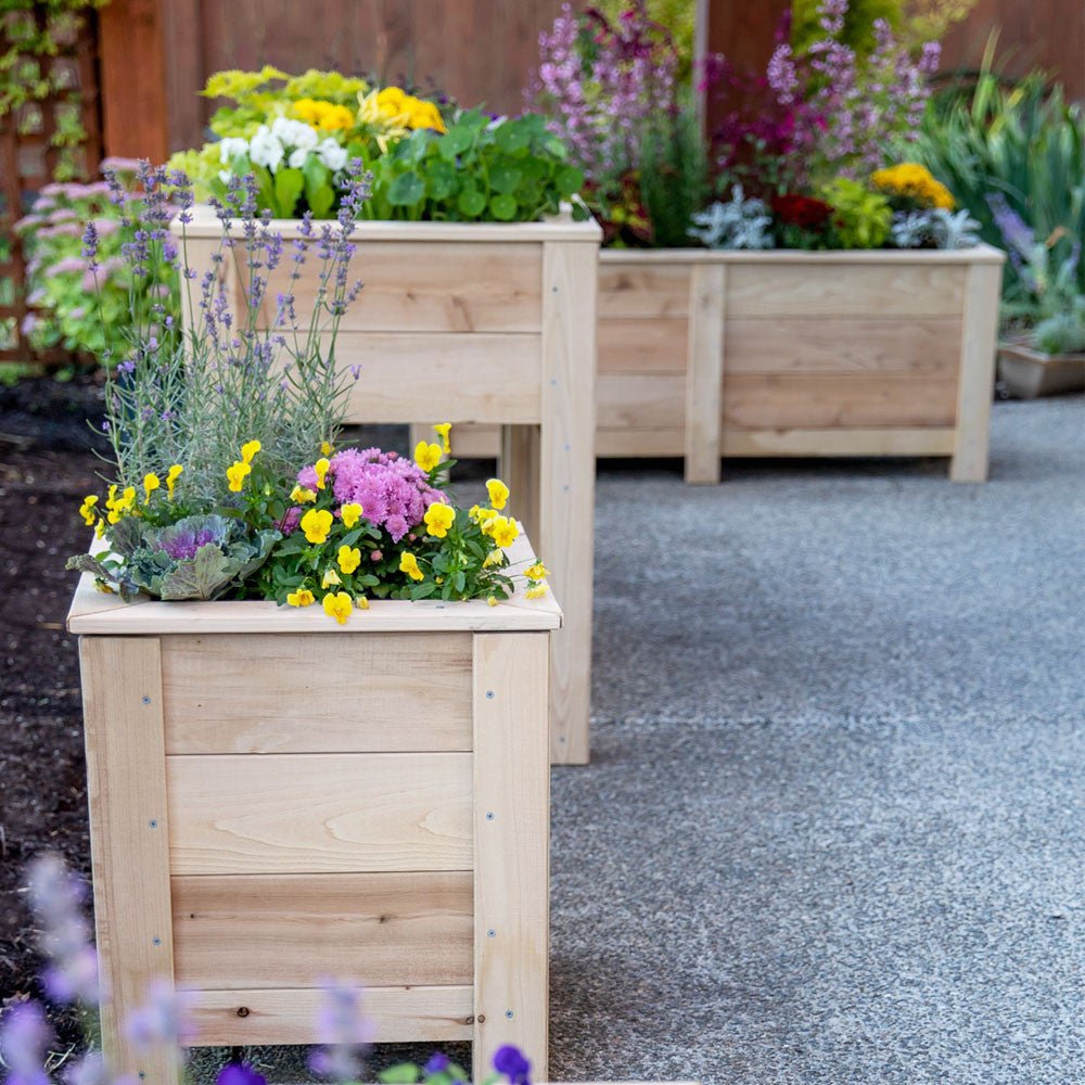 Natural Cedar Planter Boxes 14" 14" option3