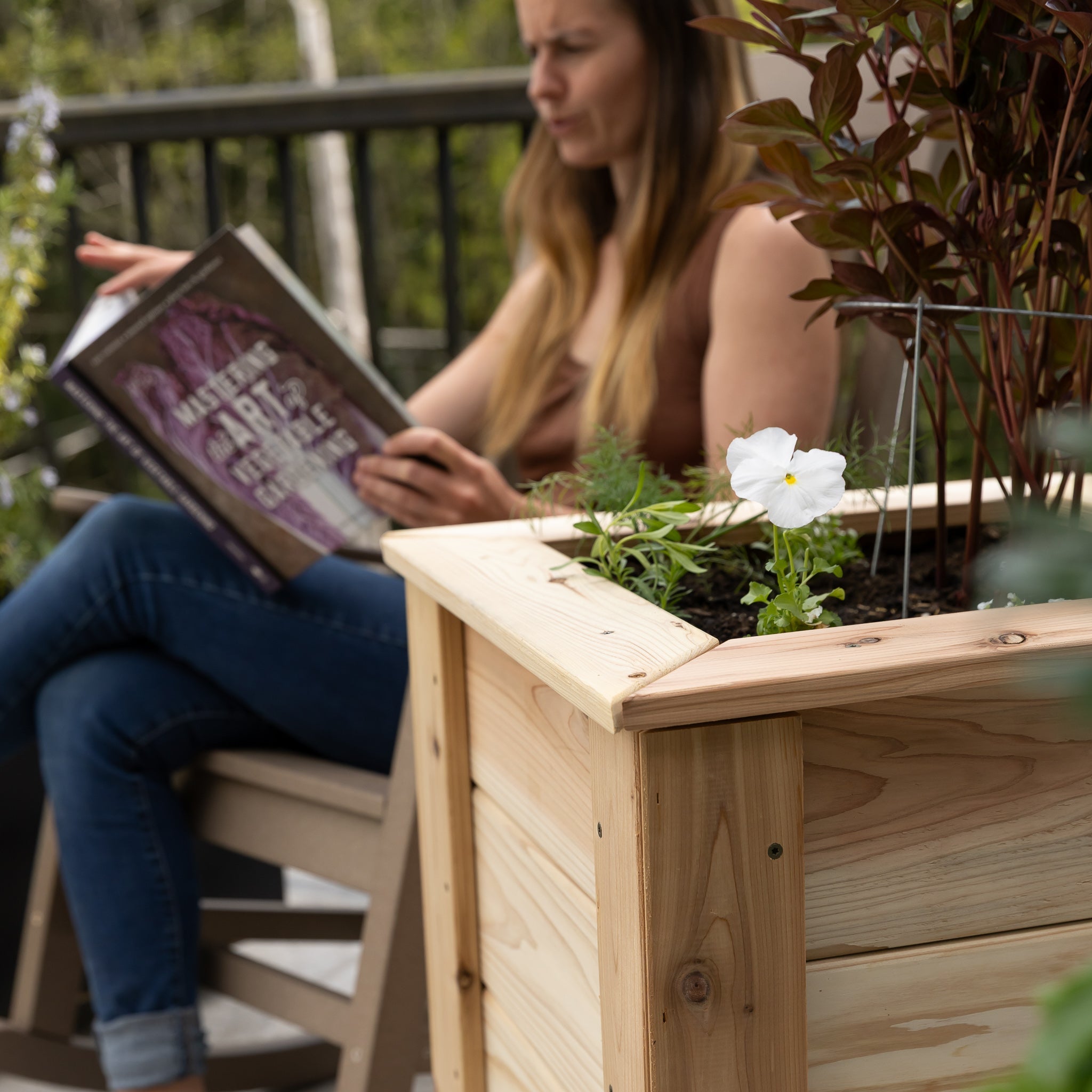 Natural Cedar Planter Boxes 14" 14" option3