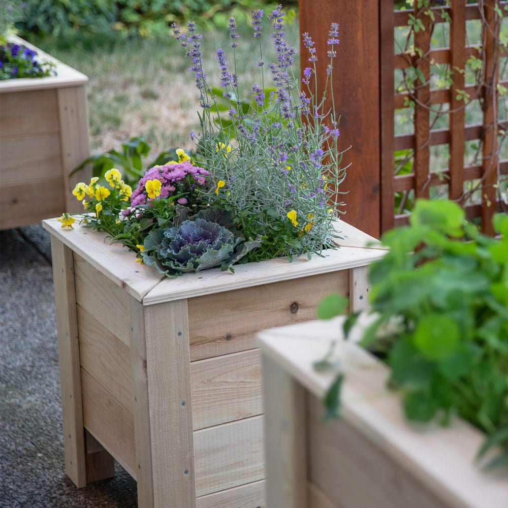 Natural Cedar Planter Boxes 14" 14" option3