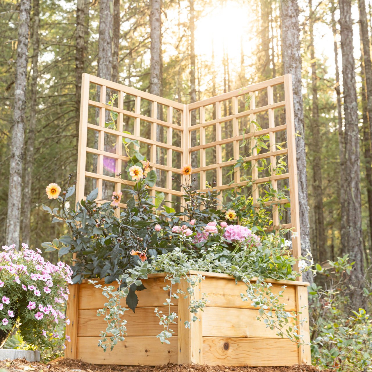 Natural Cedar Raised Beds with L-Shape Trellis 2' x 2' 11"