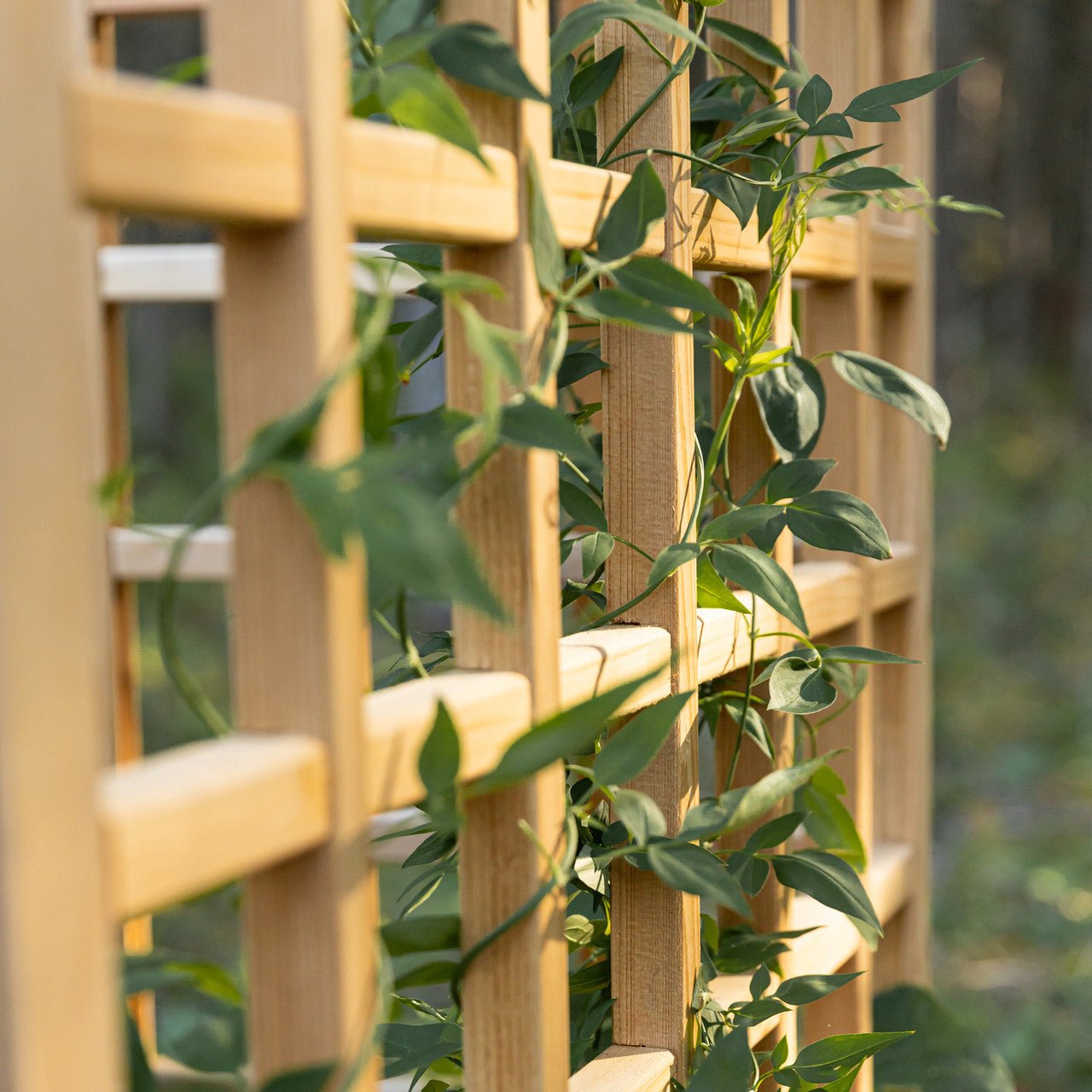Natural Cedar Raised Beds with L-Shape Trellis 2' x 2' 11"