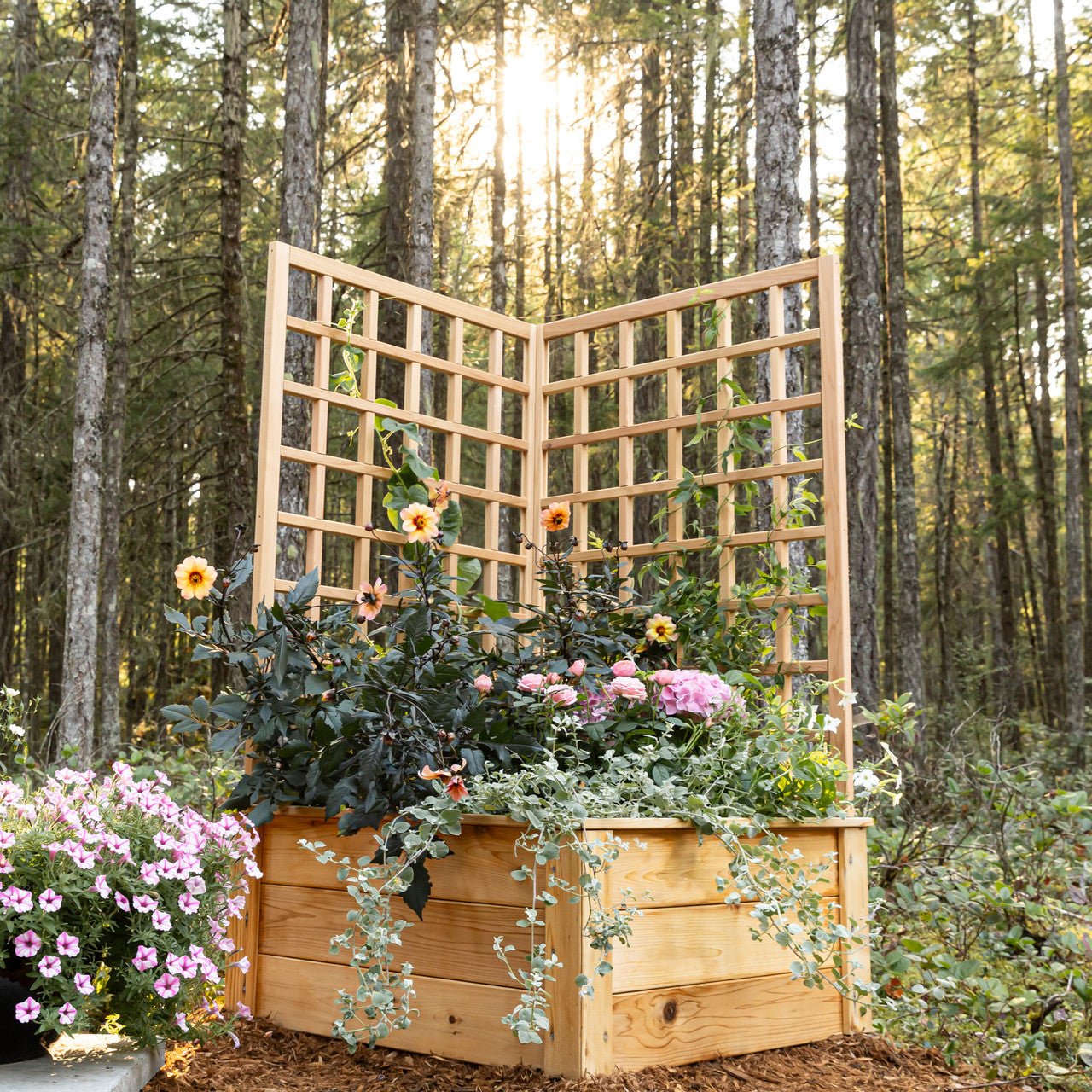 Natural Cedar Raised Beds with L-Shape Trellis 2' x 2' 11" option3