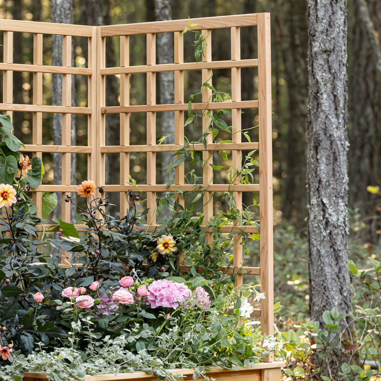 Natural Cedar Raised Beds with L-Shape Trellis 2' x 2' 11"