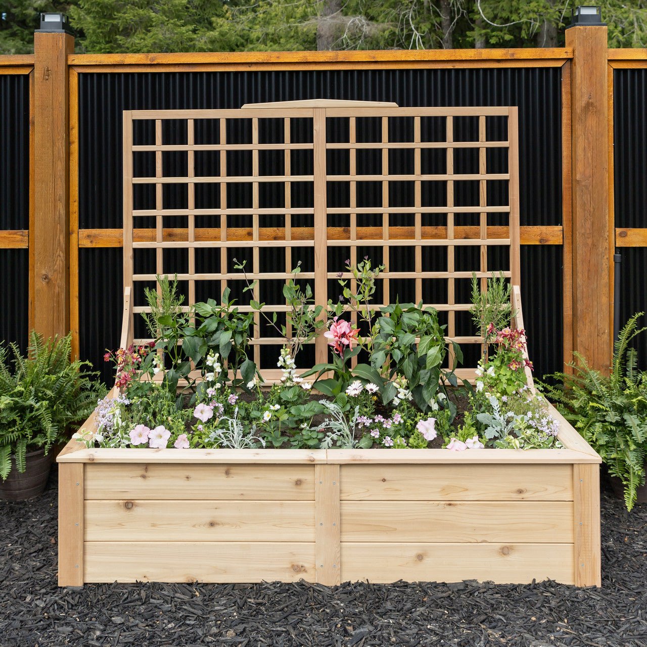 Natural Cedar Raised Beds with Trellis 2' 2' 11"