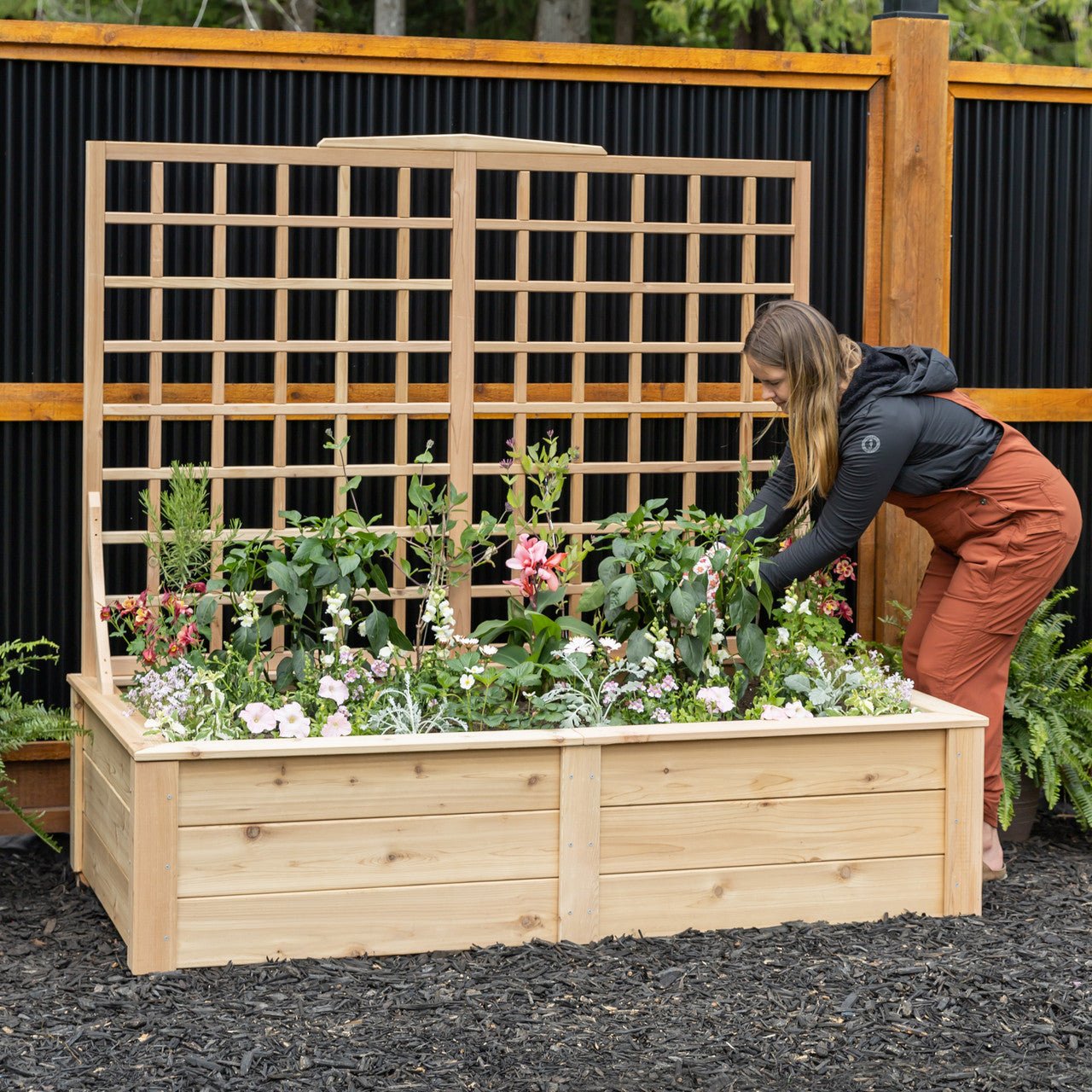 Natural Cedar Raised Beds with Trellis 2' 2' 11"