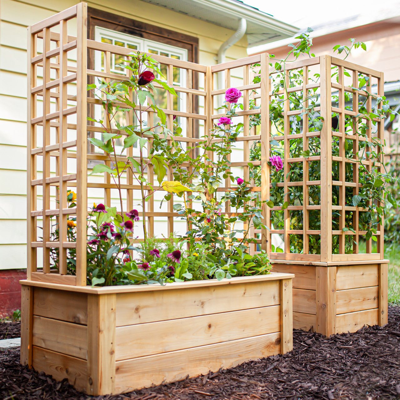 Natural Cedar Raised Beds with U-Shape Trellis 2' 3' 11"