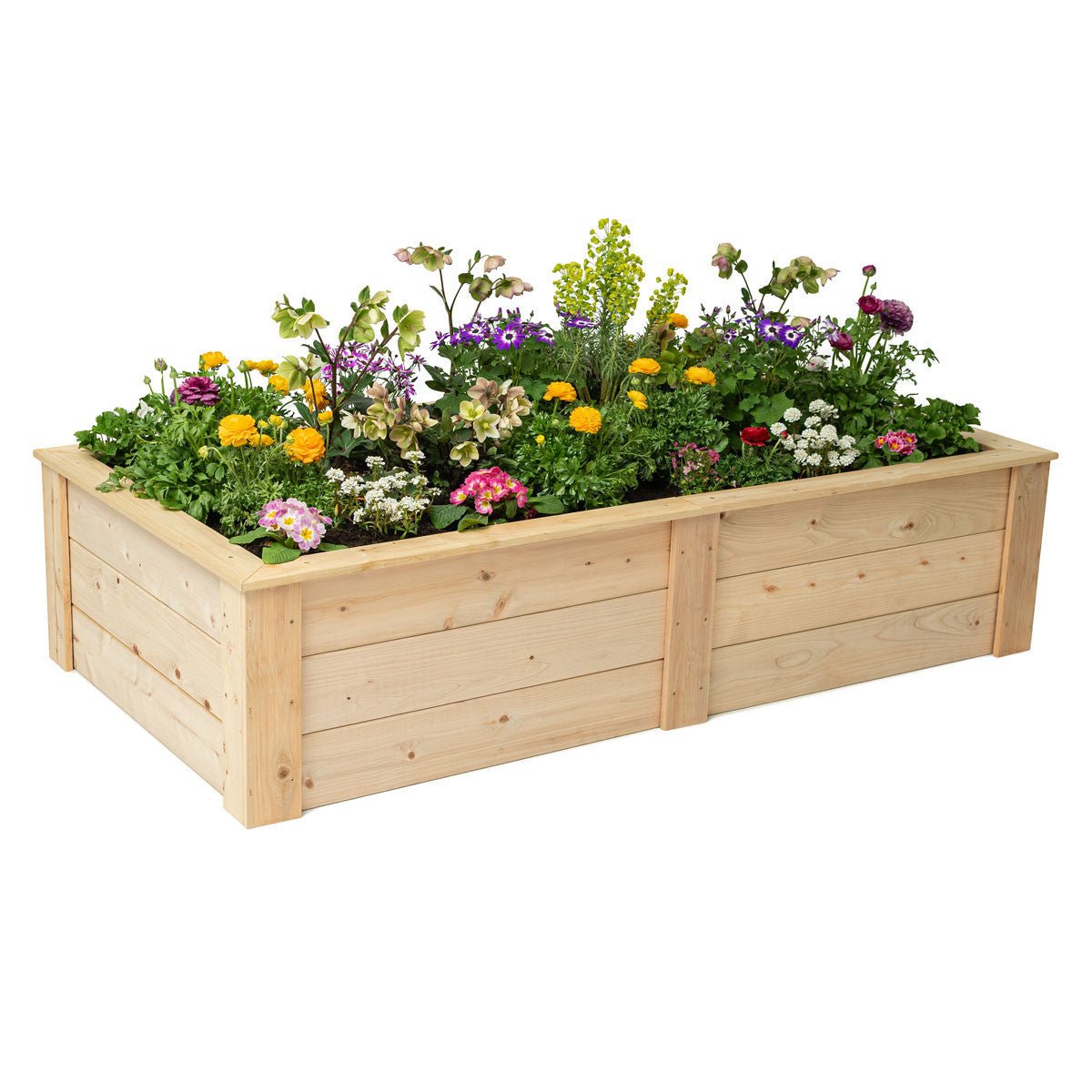 Natural Cedar Raised Garden Beds 2' 2' option3