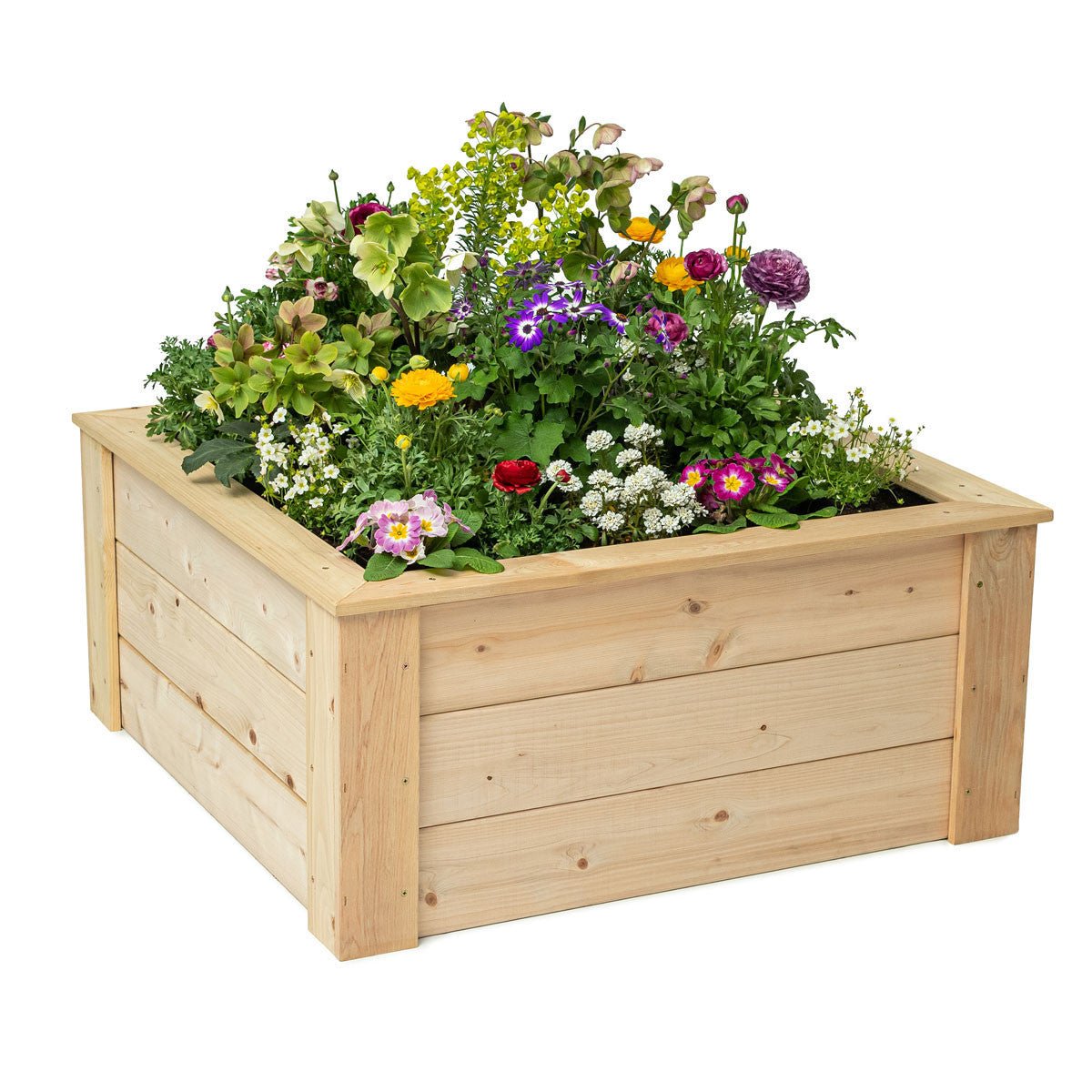Natural Cedar Raised Garden Beds 2' 2' option3