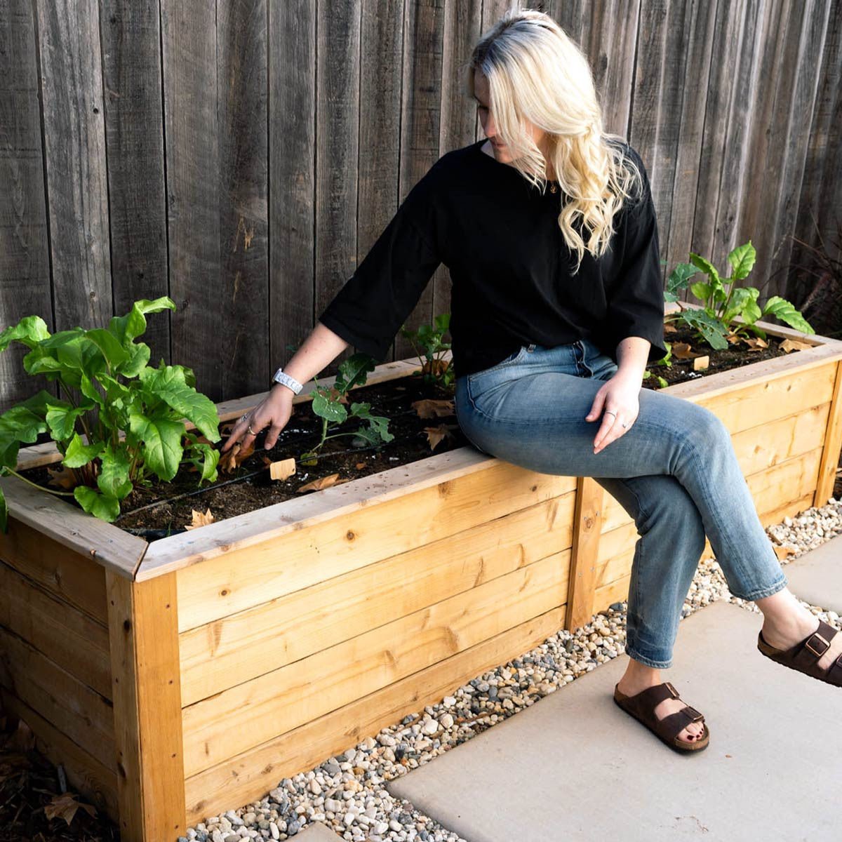 Natural Cedar Raised Garden Beds 2' 2' option3